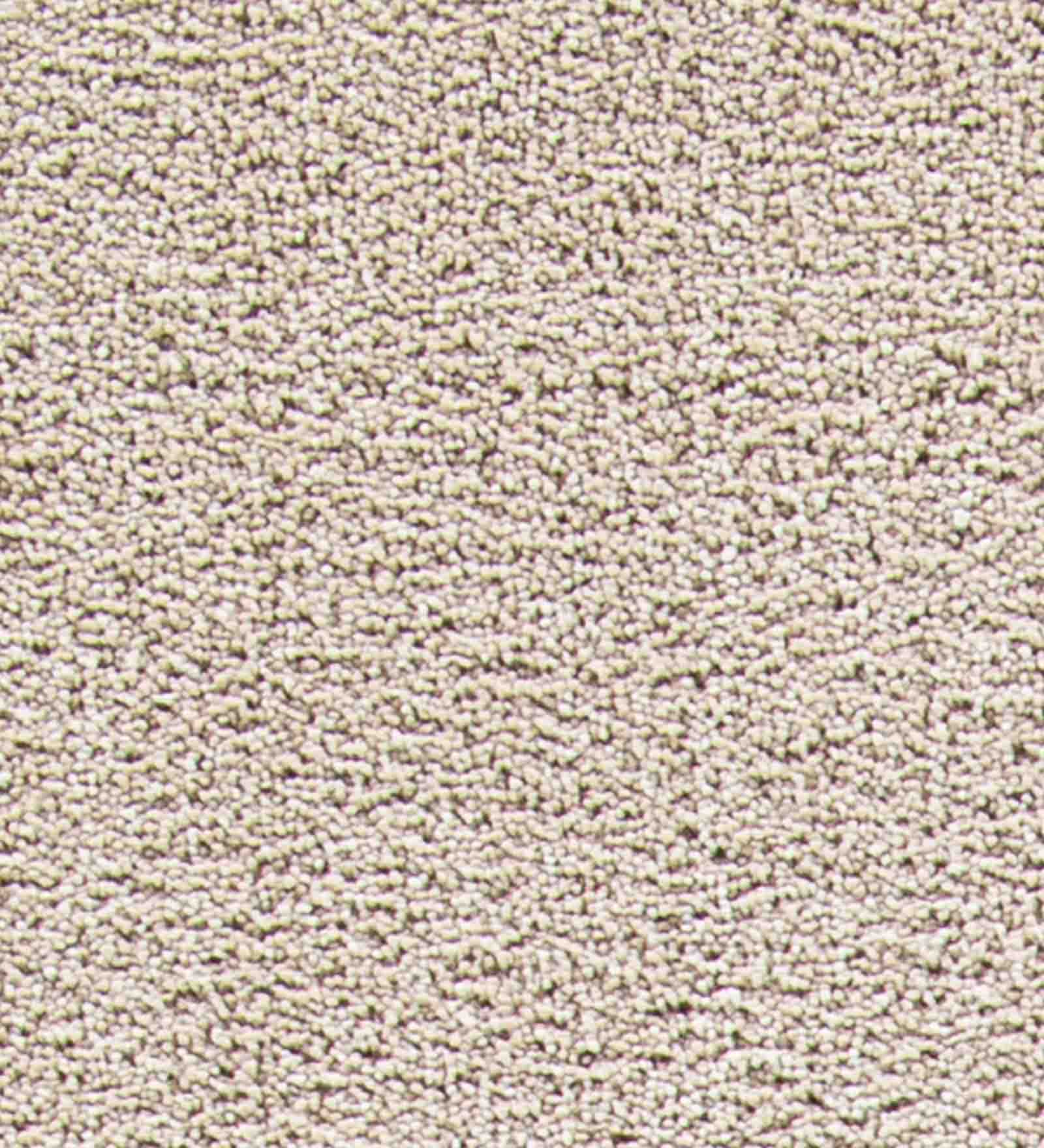 Kiss Solid Carpet Cream