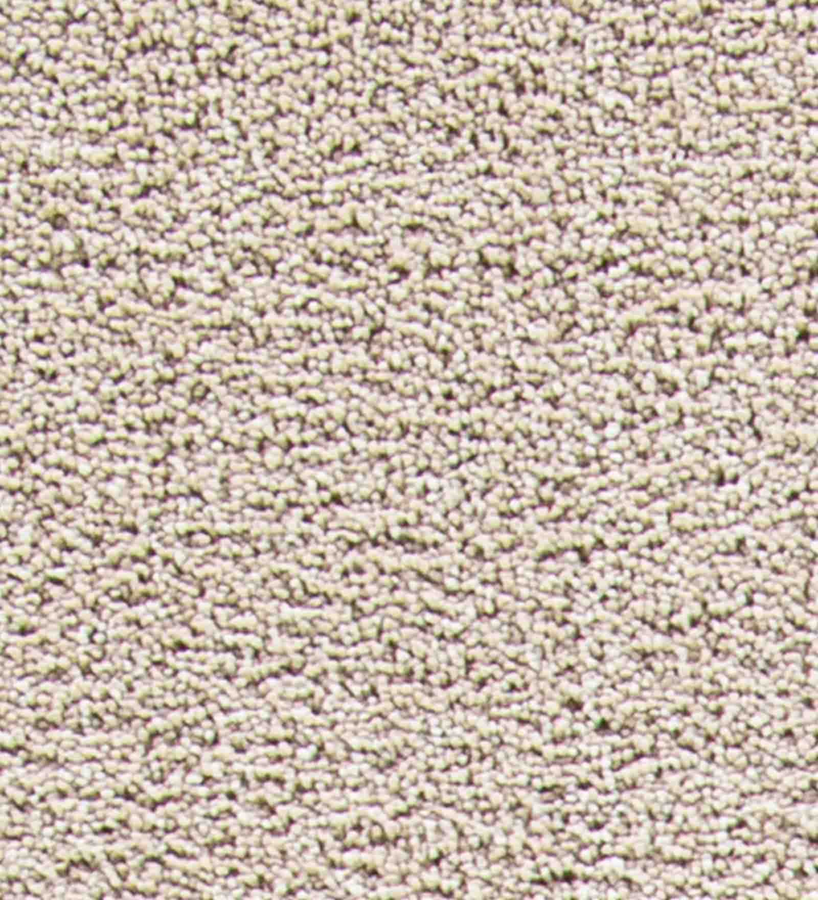 Kiss Solid Carpet Cream