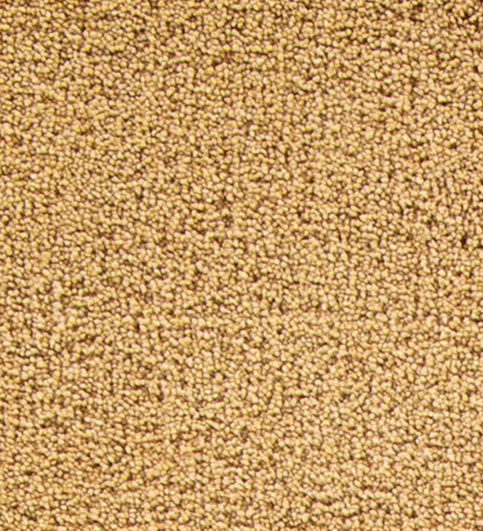 Kiss Solid Carpet Gold