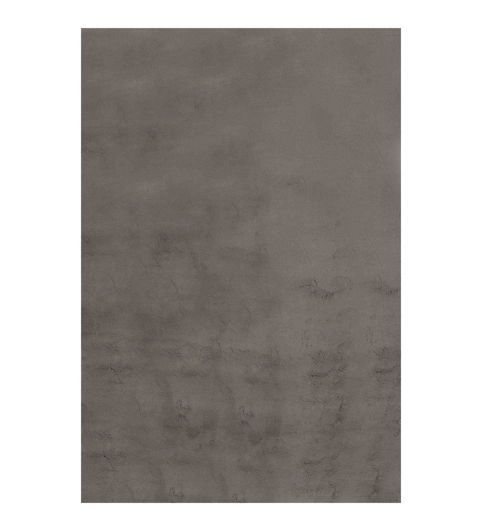 Angola 2 Solid Machine Made Carpet D Grey