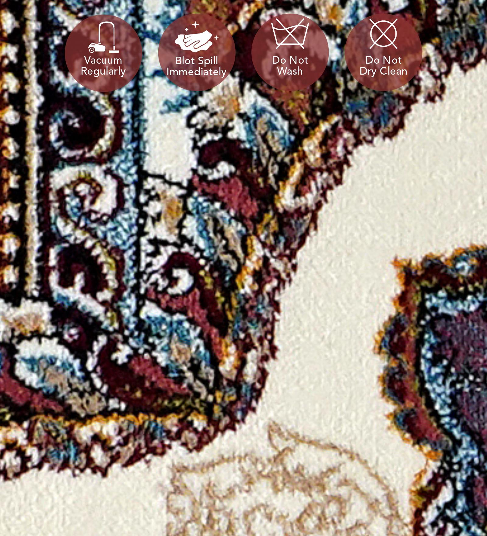 Shiraz 2 Classical Carpet Multi