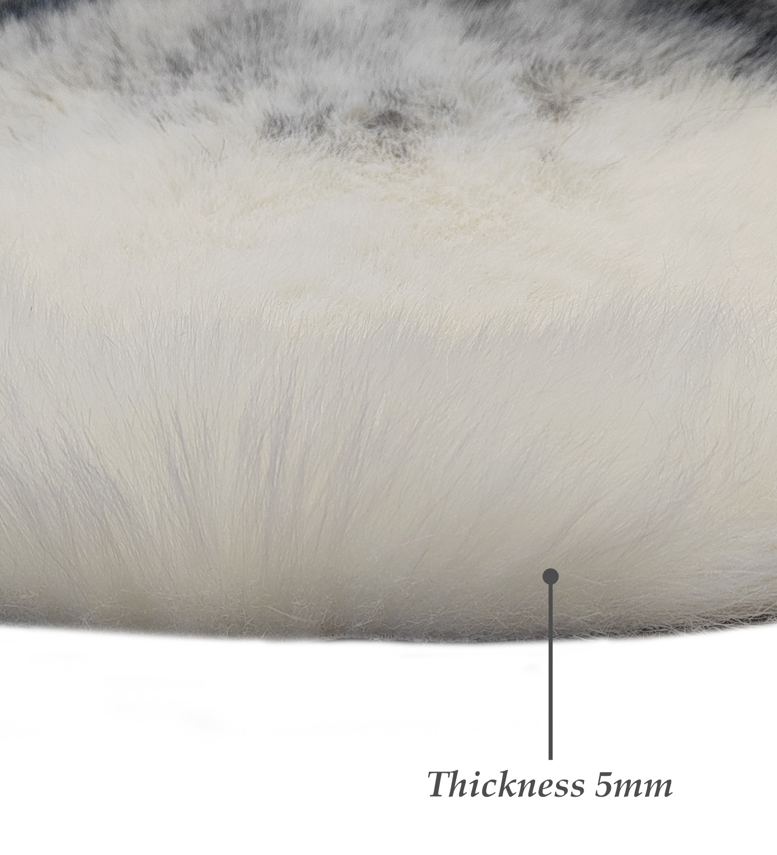 Chamois Solid Machine Made Carpet Grey