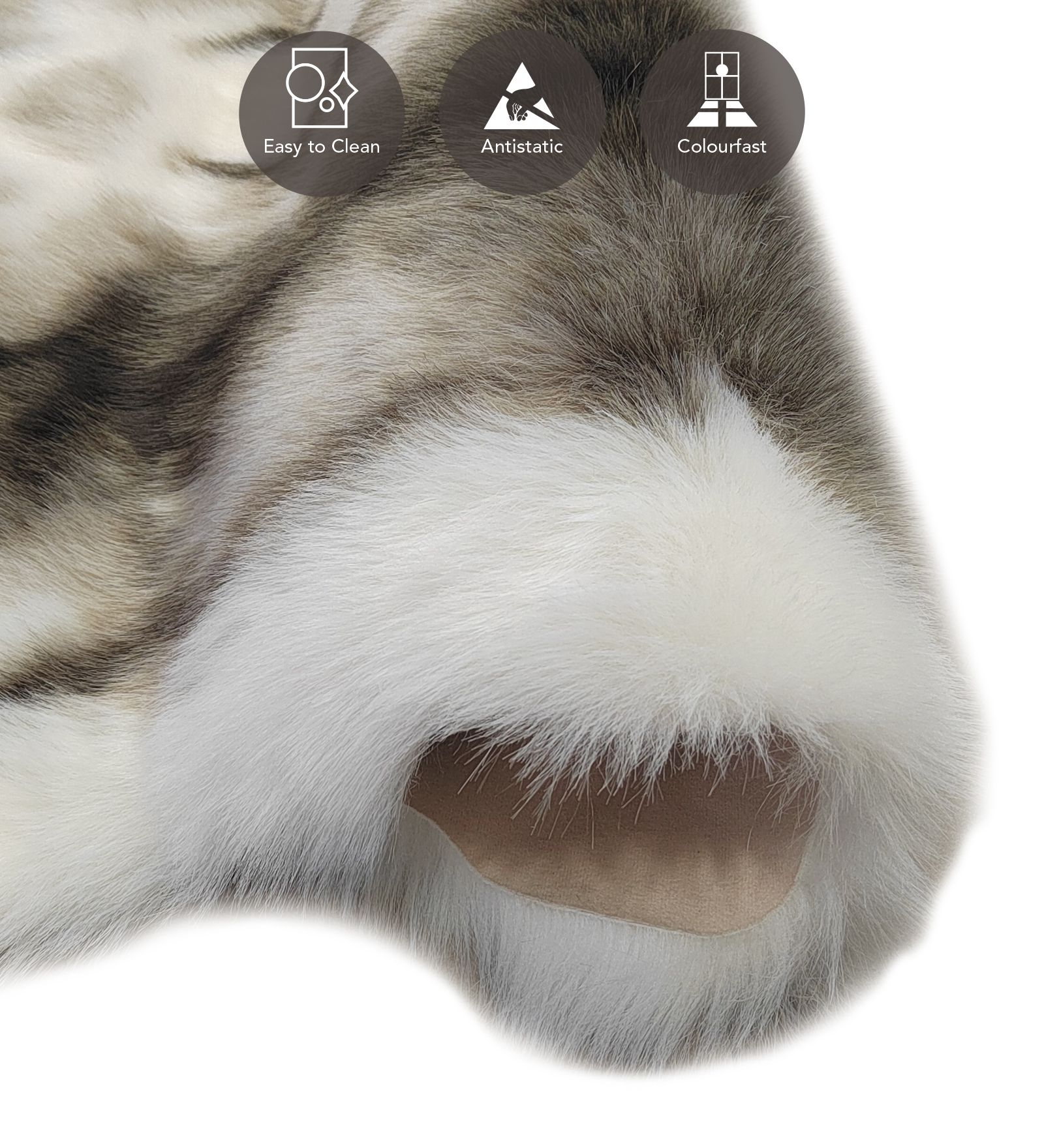 Chamois Solid Machine Made Carpet Brown