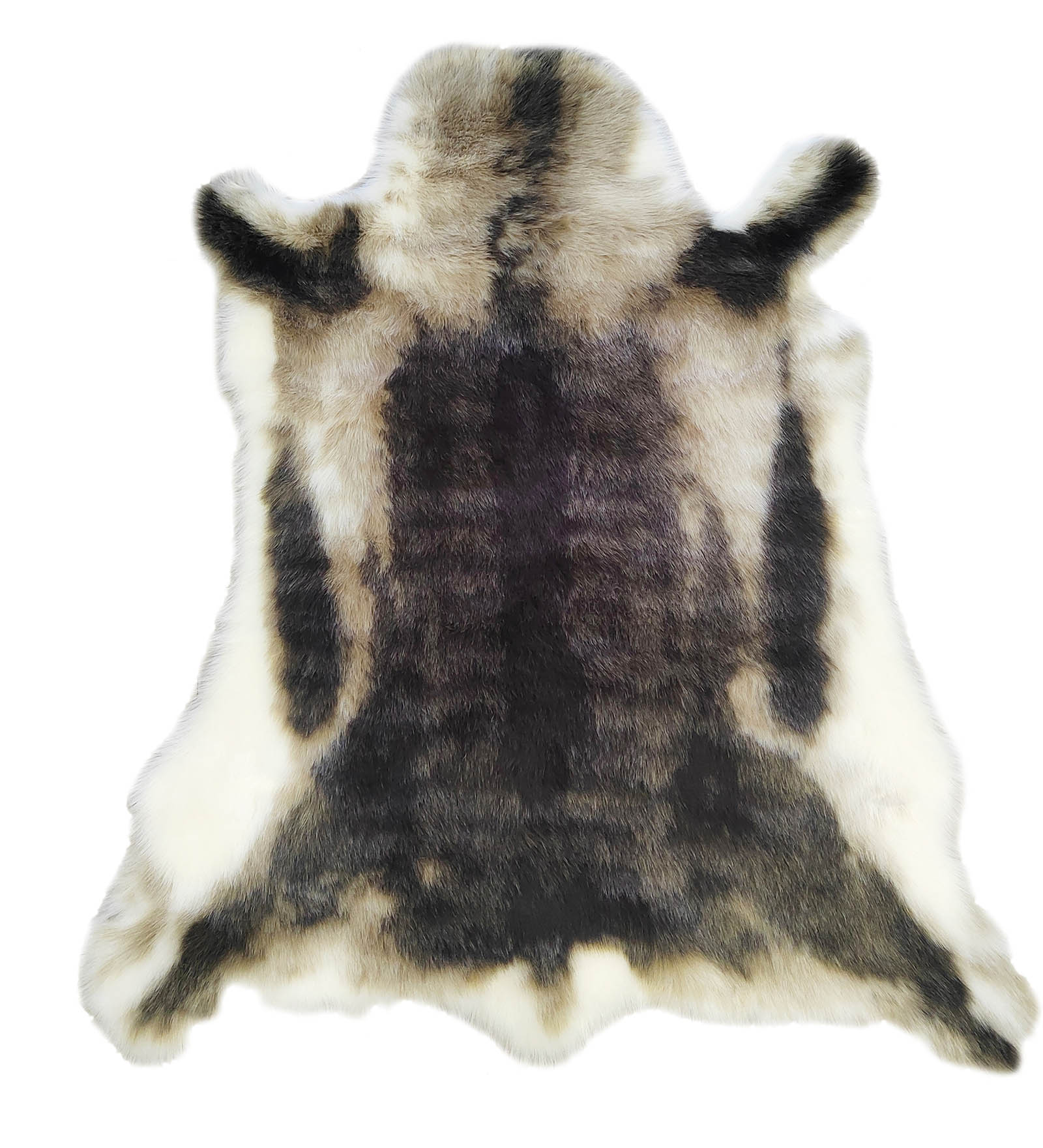 Chamois Solid Machine Made Carpet Black