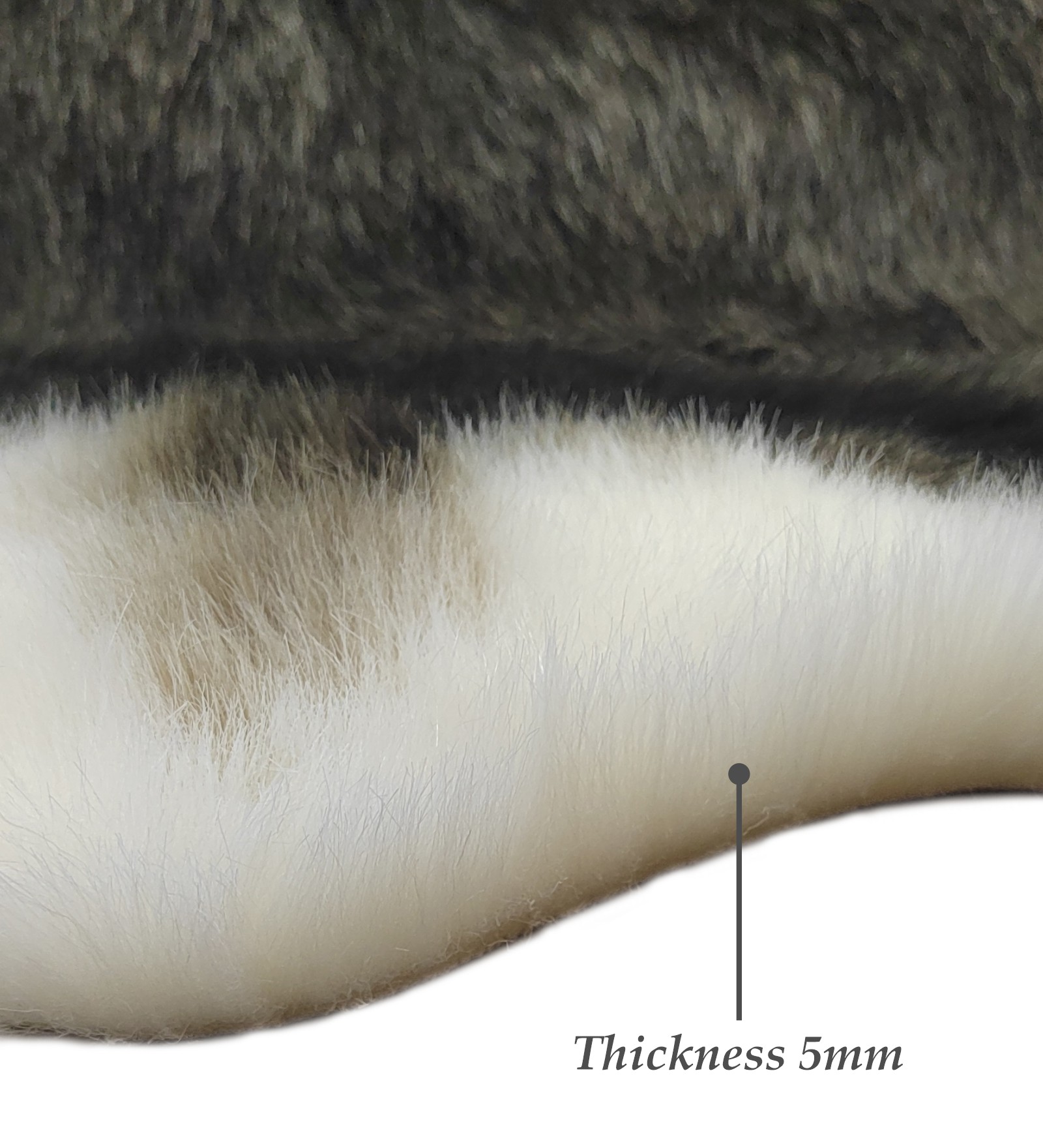 Chamois Solid Machine Made Carpet Black