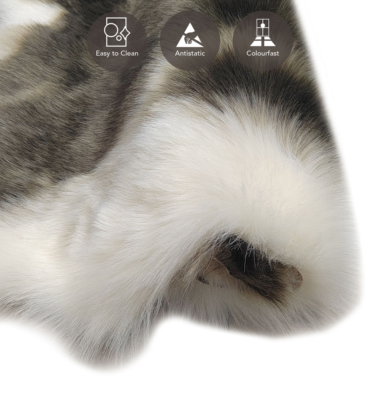 Chamois Solid Machine Made Carpet Black