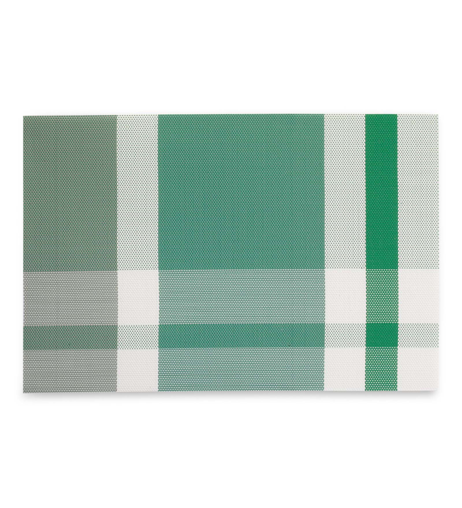 OBSESSIONS Heat Resistant and Washable Table Mat Green