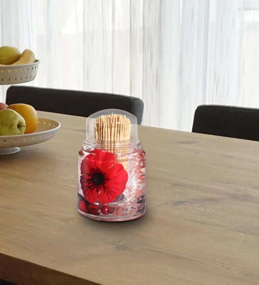 Agua Acrylic Acrylic Toothpick Holder Red