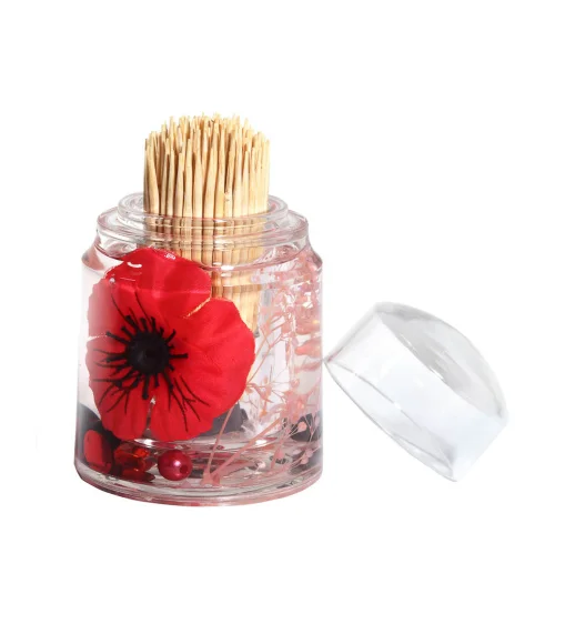 Agua Acrylic Acrylic Toothpick Holder Red