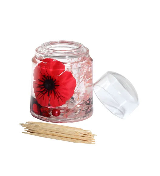 Agua Acrylic Acrylic Toothpick Holder Red