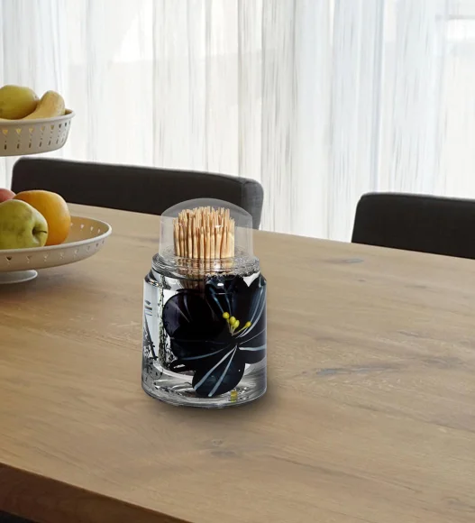 Agua Acrylic Acrylic Toothpick Holder Black