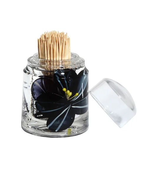 Agua Acrylic Acrylic Toothpick Holder Black