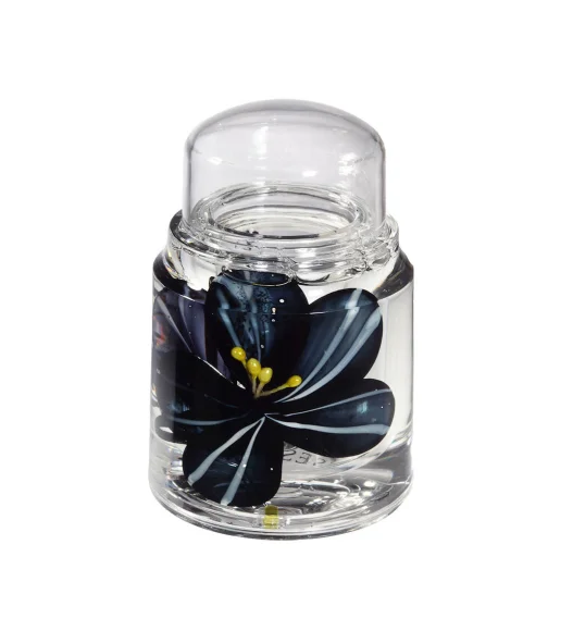 Agua Acrylic Acrylic Toothpick Holder Black