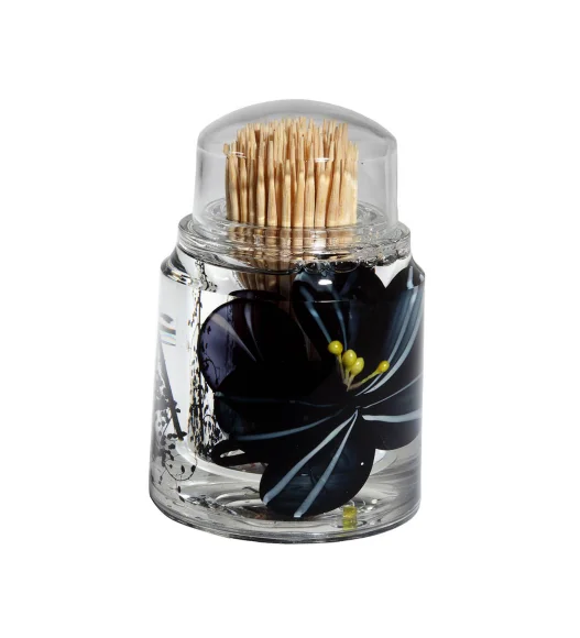 Agua Acrylic Acrylic Toothpick Holder Black