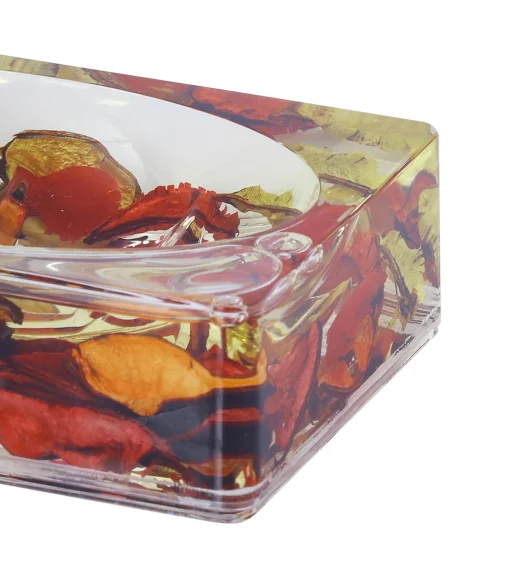 Agua Acrylic Acrylic Soap Dish Rust