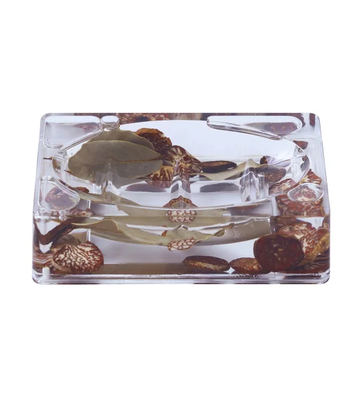 Agua Acrylic Acrylic Soap Dish Transparent Brown