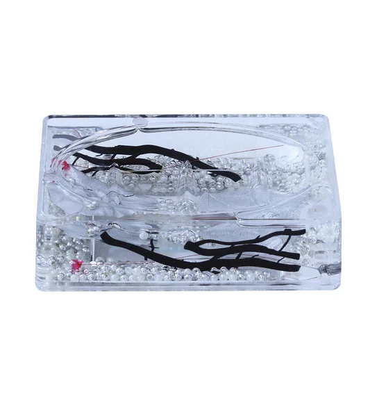 Agua Acrylic Acrylic Soap Dish Silver