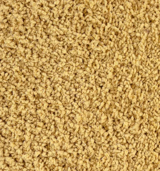 Diana Anti skid Super Absorbent Bath Mat New Beige