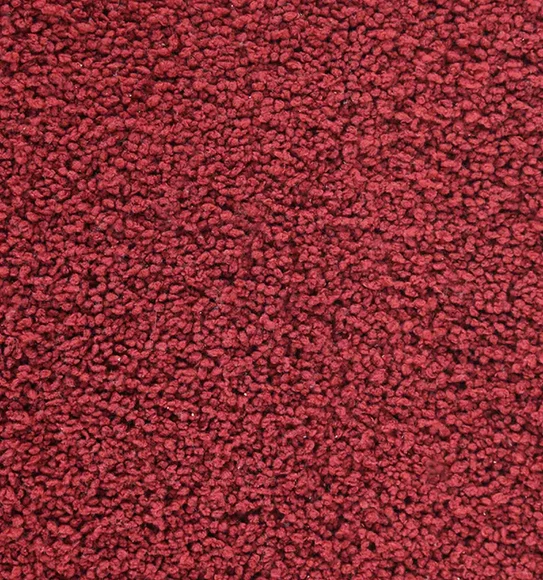 Diana Anti skid Super Absorbent Bath Mat Red