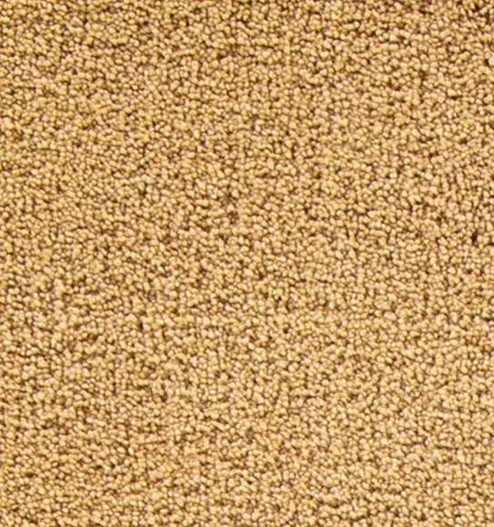 Kiss Solid Runner Gold