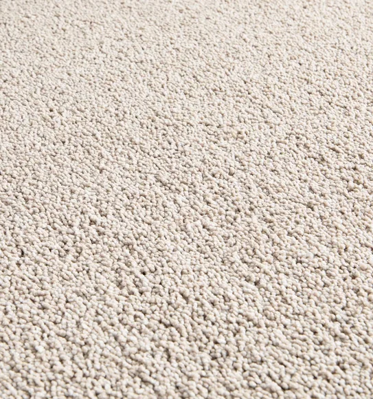 Kiss Solid Carpet Cream