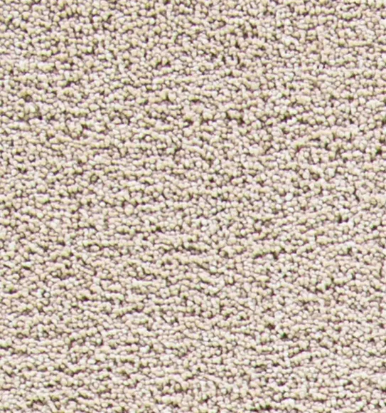 Kiss Solid Carpet Cream