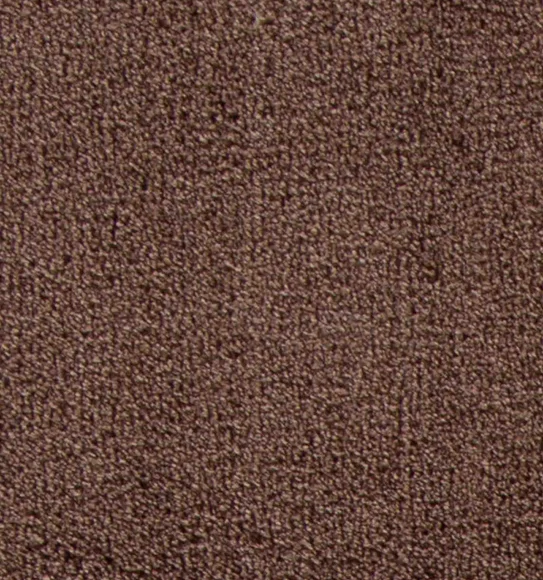 Kiss Solid Carpet Brown