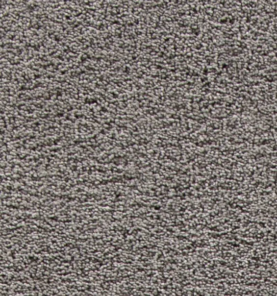Kiss Solid Carpet Grey