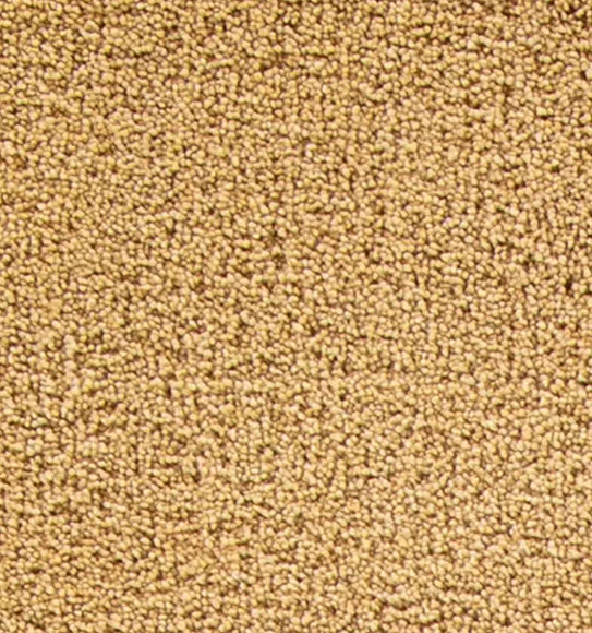 Kiss Solid Carpet Gold