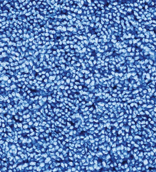 Franky Quick Dry Bath Mat Blue