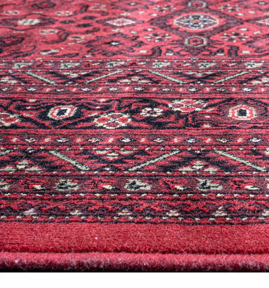 Belluchi Classical Runner Maroon and Black