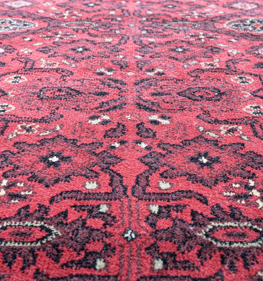 Belluchi Classical Runner Maroon and Black