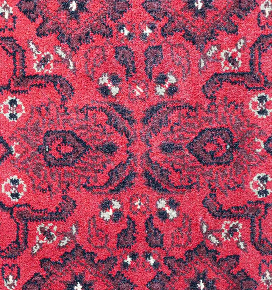 Belluchi Classical Runner Maroon and Black