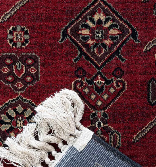 Belluchi Classical Runner Black and Maroon