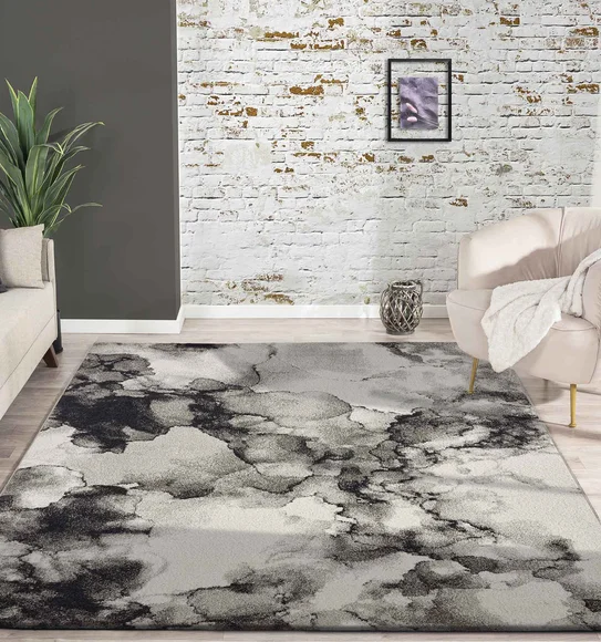 Softness Modern Carpet Charcoal and Beige