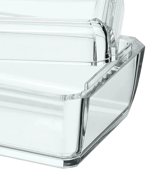 Agua Acrylic Acrylic Butter Dish Transparent