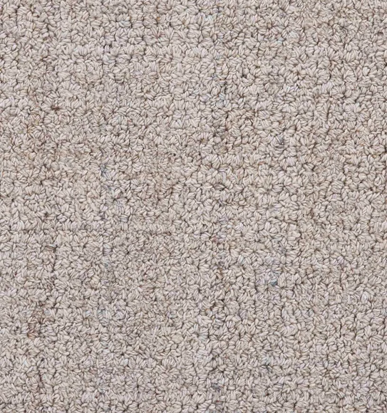 Tresor Solid Carpet Beige