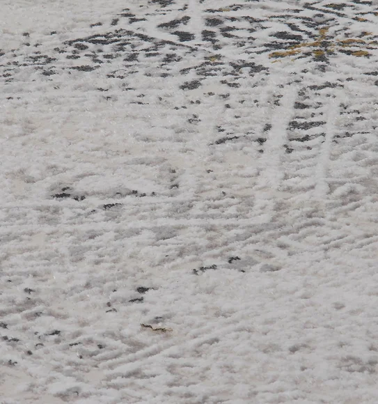 Sweden Classical Carpet Cream and Grey