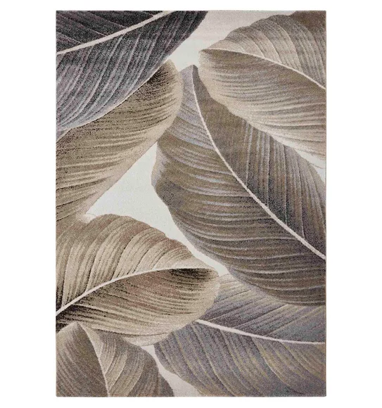 Arizona Floral Carpet Brown and Grey