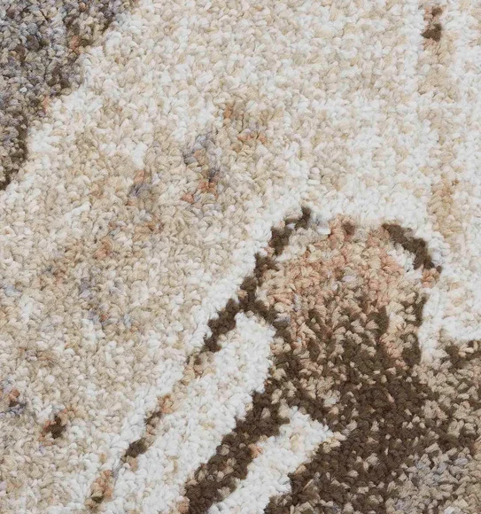 Arizona Abstract Carpet L.Brown and D.Brown
