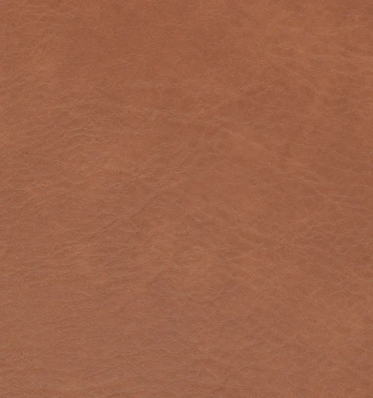 Canvas Solid Table Mat Rust