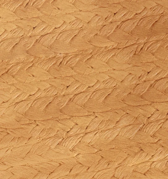 Canvas Solid Table Mat Camel