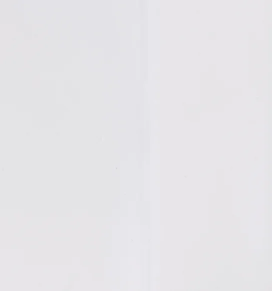 Arsh Soap Dispenser Polyresin Soap Dispenser White