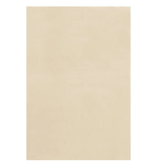 Angola 2 Solid Machine Made Carpet Beige