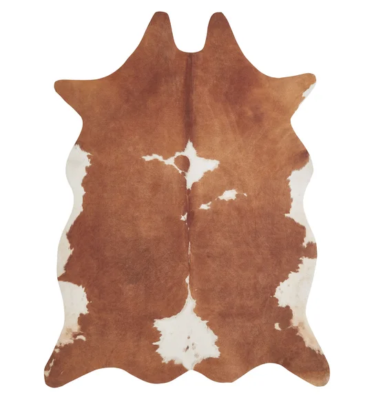 Hides Abstract Carpet Rust