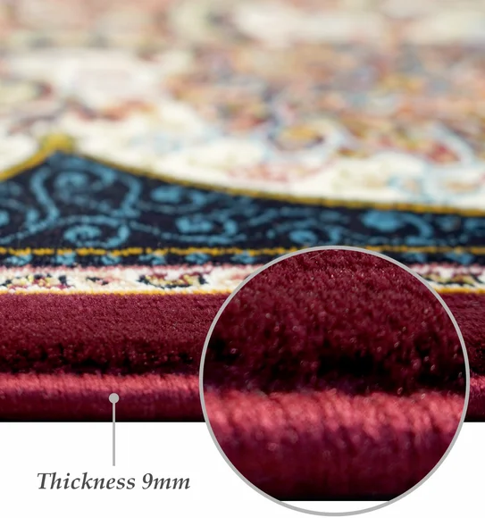 Shiraz 2 Classical Carpet Multi and Maroon