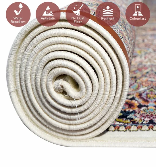 Shiraz 2 Classical Carpet Multi