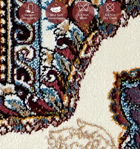 Shiraz 2 Classical Carpet Multi