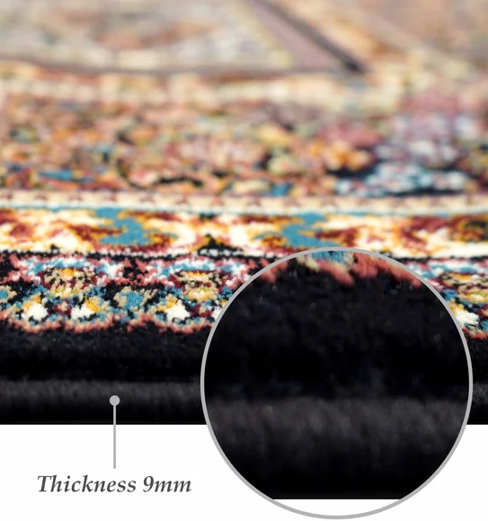Shiraz 2 Classical Carpet Multi